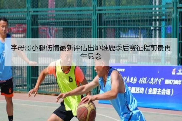 字母哥小腿伤情最新评估出炉雄鹿季后赛征程前景再生悬念