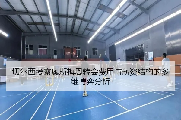 切尔西考察奥斯梅恩转会费用与薪资结构的多维博弈分析