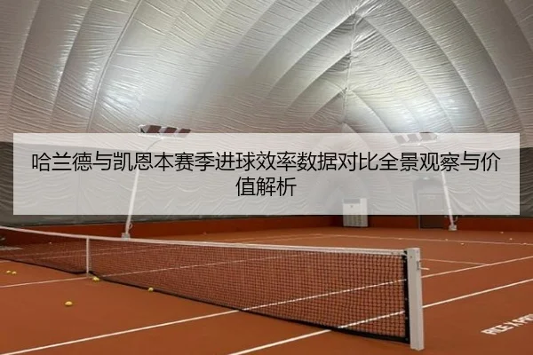哈兰德与凯恩本赛季进球效率数据对比全景观察与价值解析