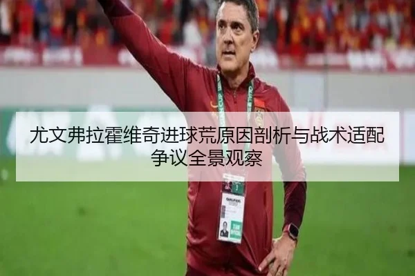 尤文弗拉霍维奇进球荒原因剖析与战术适配争议全景观察